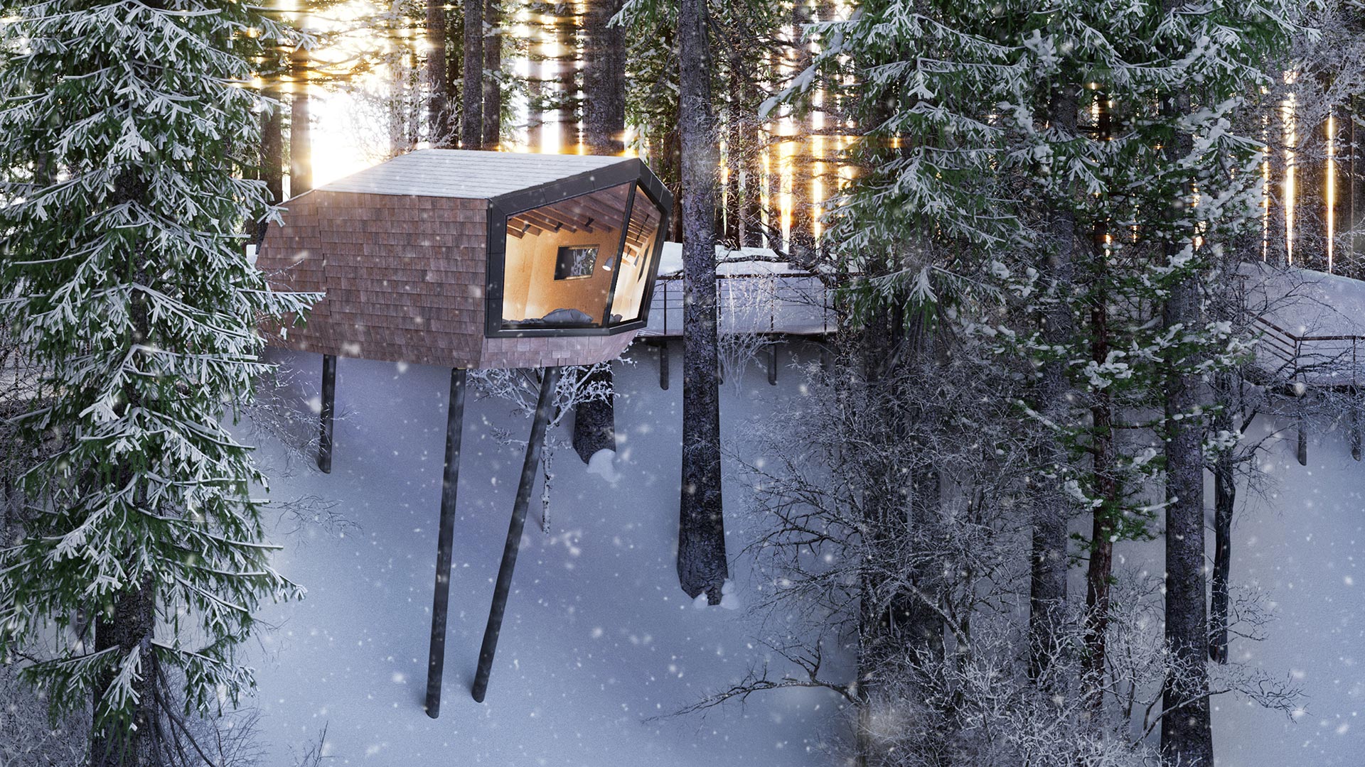 02_04_Treehouse